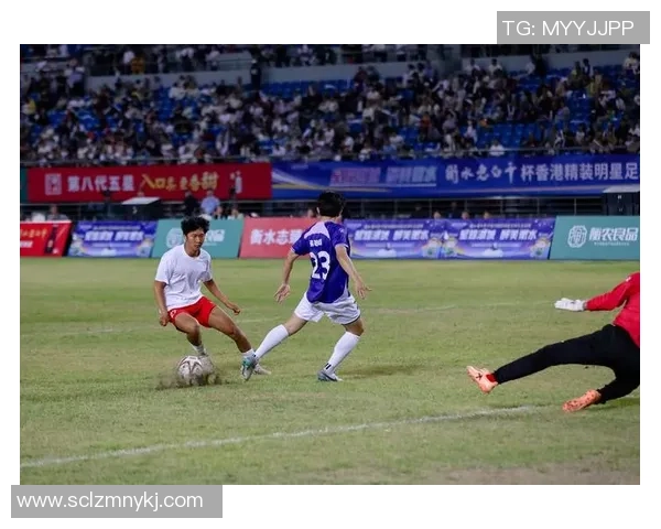 足球明星与他们心爱的犬类伙伴揭秘,谁是他们的忠实陪伴者 足球明星与他们心爱的犬类伙伴揭秘,谁是他们的忠实陪伴者