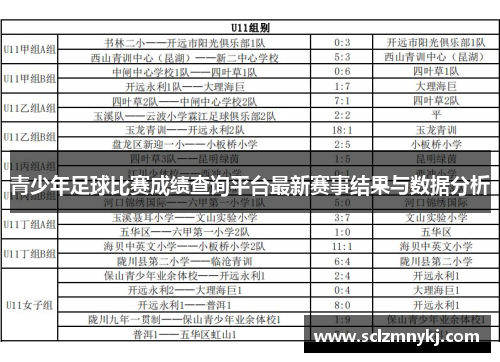 青少年足球比赛成绩查询平台最新赛事结果与数据分析